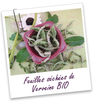 Feuilles séchées Verveine BIO Aroma-Zone Feuilles séchées Verveine BIO Aroma-Zone