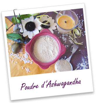 Poudre ayurvédique Ashwagandha BIO Aroma-Zone Poudre ayurvédique Ashwagandha BIO Aroma-Zone