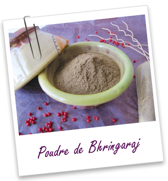 Poudre ayurvédique Bhringaraj Aroma-Zone Poudre ayurvédique Bhringaraj Aroma-Zone
