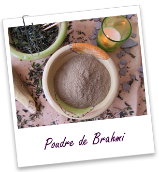 Poudre ayurvédique Brahmi Aroma-Zone Poudre ayurvédique Brahmi Aroma-Zone