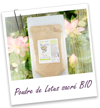 Poudre ayurvédique Lotus sacré BIO Aroma-Zone Poudre ayurvédique Lotus sacré BIO Aroma-Zone