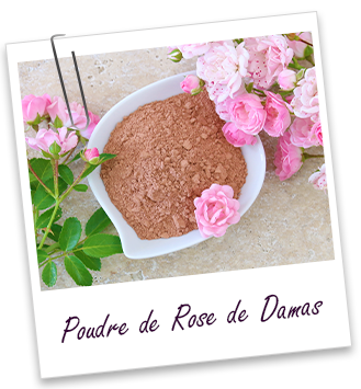 Poudre ayurvédique Rose de Damas Aroma-Zone Poudre ayurvédique Rose de Damas Aroma-Zone