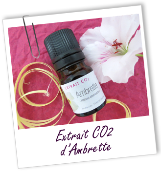 Extrait CO2 Ambrette Aroma-Zone Extrait CO2 Ambrette Aroma-Zone