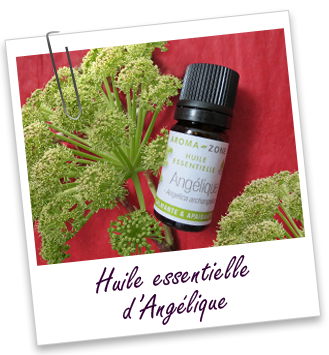 Huile essentielle Angélique archangélique Aroma-Zone Huile essentielle Angélique archangélique Aroma-Zone