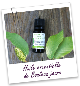 Huile essentielle Bouleau jaune Aroma-Zone Huile essentielle Bouleau jaune Aroma-Zone