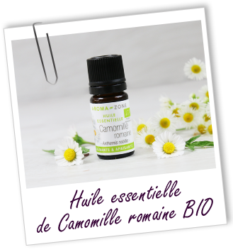 Huile essentielle Camomille romaine France BIO Aroma-Zone Huile essentielle Camomille romaine France BIO Aroma-Zone