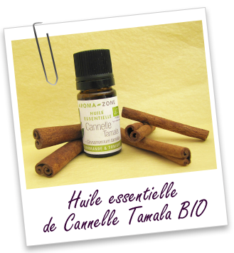 Huile essentielle Cannelle Tamala BIO Aroma-Zone Huile essentielle Cannelle Tamala BIO Aroma-Zone