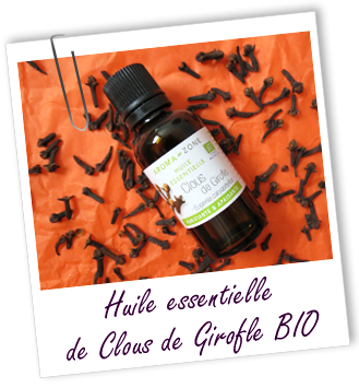 Huile essentielle Girofle Clous BIO Aroma-Zone Huile essentielle Girofle Clous BIO Aroma-Zone