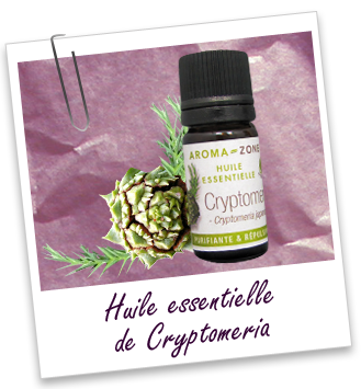 Huile essentielle Cryptomeria Aroma-Zone Huile essentielle Cryptomeria Aroma-Zone