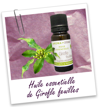 Huile essentielle Girofle feuilles BIO Aroma-Zone Huile essentielle Girofle feuilles BIO Aroma-Zone