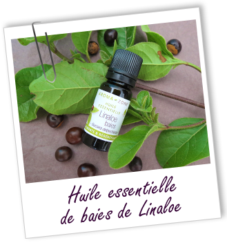 Huile essentielle Linaloe baies Aroma-Zone Huile essentielle Linaloe baies Aroma-Zone