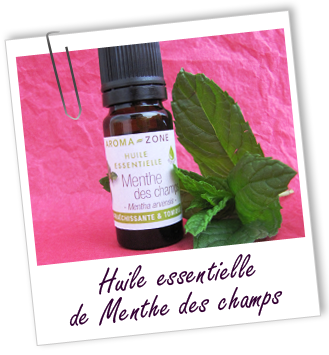 Huile essentielle Menthe des Champs BIO Aroma-Zone Huile essentielle Menthe des Champs BIO Aroma-Zone