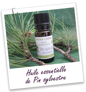 Huile essentielle Pin Sylvestre Aroma-Zone Huile essentielle Pin Sylvestre Aroma-Zone