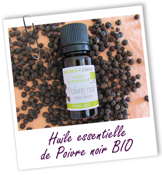 Huile essentielle Poivre noir BIO Aroma-Zone Huile essentielle Poivre noir BIO Aroma-Zone