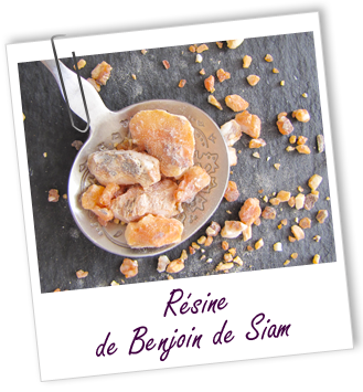 Résine Benjoin de Siam Résine Benjoin de Siam