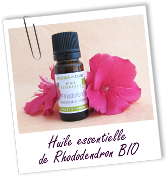 Huile essentielle Rhododendron BIO Aroma-Zone