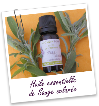 Huile essentielle Sauge sclarée Aroma-Zone Huile essentielle Sauge sclarée Aroma-Zone