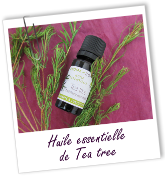 Image d'huile essentielle de Tea Tree, un des ingrédients pour réaliser le gel de toilette intime.
