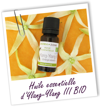 Huile essentielle Ylang-Ylang III BIO Aroma-Zone Huile essentielle Ylang-Ylang III BIO Aroma-Zone