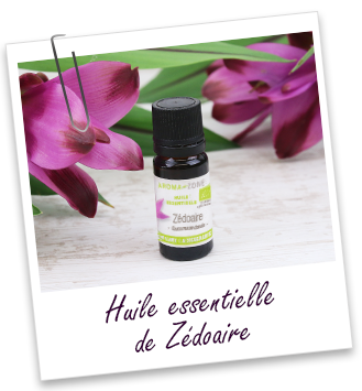 Huile essentielle Zédoaire BIO Aroma-Zone Huile essentielle Zédoaire BIO Aroma-Zone