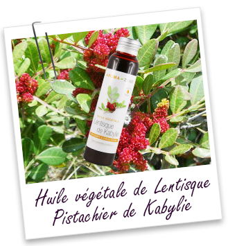 Huile végétale Lentisque de Kabylie Aroma-Zone Huile végétale Lentisque de Kabylie Aroma-Zone