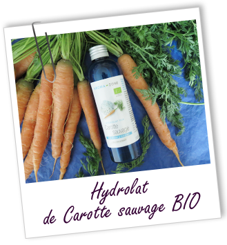 Hydrolat Carotte sauvage BIO Aroma-Zone
