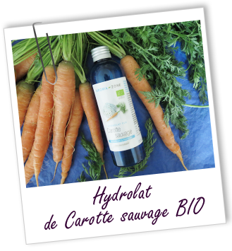 Hydrolat Carotte sauvage BIO Aroma-Zone Hydrolat Carotte sauvage BIO Aroma-Zone