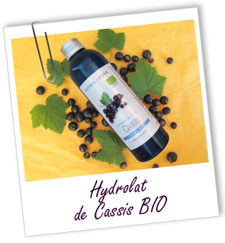 Hydrolat Cassis BIO Aroma-zone Hydrolat Cassis BIO Aroma-zone