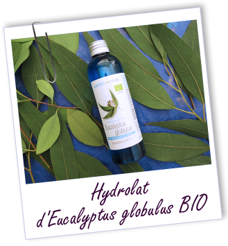 Hydrolat Eucalyptus globulus BIO Aroma-Zone