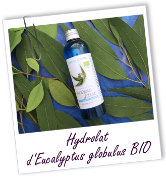 Hydrolat Eucalyptus globulus BIO Aroma-Zone Hydrolat Eucalyptus globulus BIO Aroma-Zone