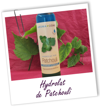 Hydrolat Patchouli sauvage Aroma-Zone Hydrolat Patchouli sauvage Aroma-Zone