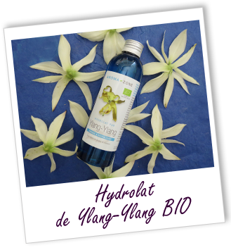 Hydrolat Ylang-Ylang BIO Aroma-Zone Hydrolat Ylang-Ylang BIO Aroma-Zone