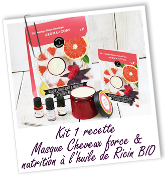 Coffret cosmétique maison Masque cheveux force & nutrition à l'huile de Ricin BIO Aroma-Zone