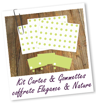 Kit cartes et gommettes pour coffrets en carton élégance et Nature Aroma-Zone Kit cartes et gommettes pour coffrets en carton élégance et Nature Aroma-Zone