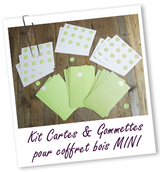 Kit cartes et gommettes pour coffret en bois MINI Aroma-Zone Kit cartes et gommettes pour coffret en bois MINI Aroma-Zone