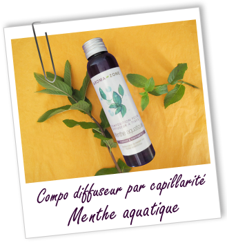Composition pour diffuseur par capillarité MENTHE AQUATIQUE Aroma-Zone Composition pour diffuseur par capillarité MENTHE AQUATIQUE Aroma-Zone