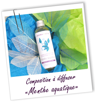 Composition pour diffuseur à tiges MENTHE AQUATIQUE Aroma-Zone Composition pour diffuseur à tiges MENTHE AQUATIQUE Aroma-Zone