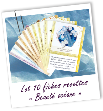 Pack de 10 fiches recettes Pack de 10 fiches recettes