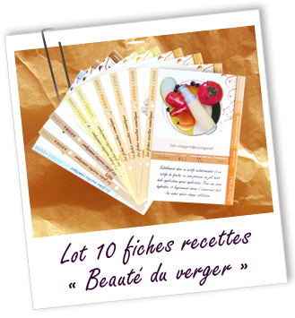 Pack de 10 fiches recettes Pack de 10 fiches recettes