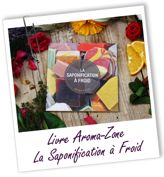 Livre Cosmétique à faire Soi-même La Saponification à froid Livre Cosmétique à faire Soi-même La Saponification à froid