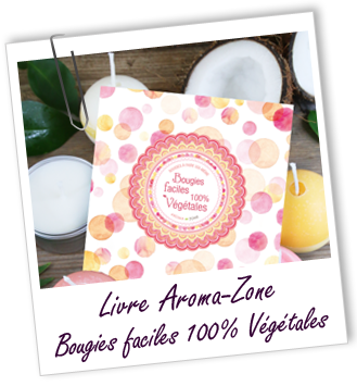 Livre Cosmétique à faire Soi-même Bougies Faciles 100% Végétales Livre Cosmétique à faire Soi-même Bougies Faciles 100% Végétales