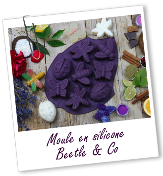 Moule en silicone Beetle & Co Aroma-Zone Moule en silicone Beetle & Co Aroma-Zone
