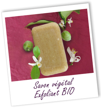 Savon végétal BIO EXFOLIANT Aroma-Zone Savon végétal BIO EXFOLIANT Aroma-Zone