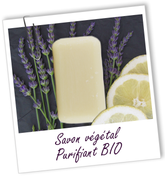 Savon végétal BIO PURIFIANT Aroma-Zone Savon végétal BIO PURIFIANT Aroma-Zone