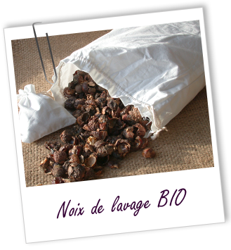 Noix de lavage BIO Aroma-Zone Noix de lavage BIO Aroma-Zone