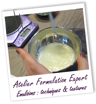 Atelier Formulation Expert - Atelier Formulation Expert -