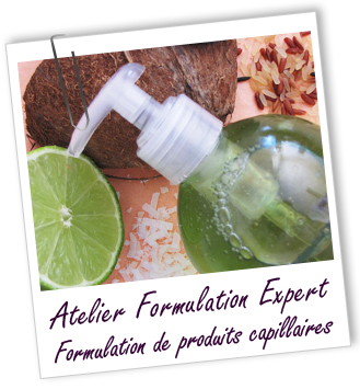 Atelier Formulation Expert - 