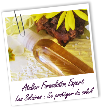 Atelier Formulation Expert - 