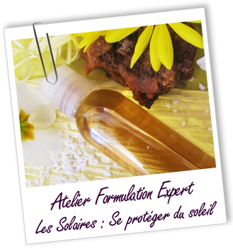 Atelier Formulation Expert - Atelier Formulation Expert -