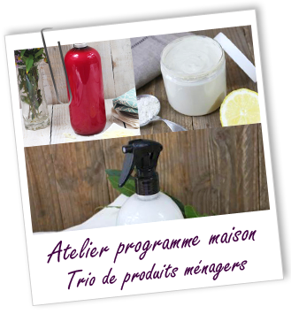 Atelier Programme maison - Trio de produits ménagers écologiques - Aroma-Zone Atelier Programme maison - Trio de produits ménagers écologiques - Aroma-Zone
